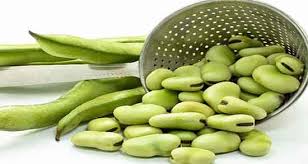 تصویر 4 از قیمت خرید ویژه کنسرو باقلا 400 گرمی خوشمزه درجه یک + شرایط استثنایی و به صرفه